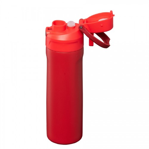 23oz Lynk Recycled Stainless Steel Straw-Lid Leakproof Bottle