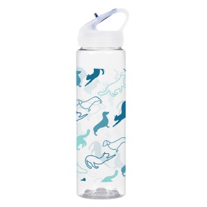 25oz Full Color Brooks Bottle