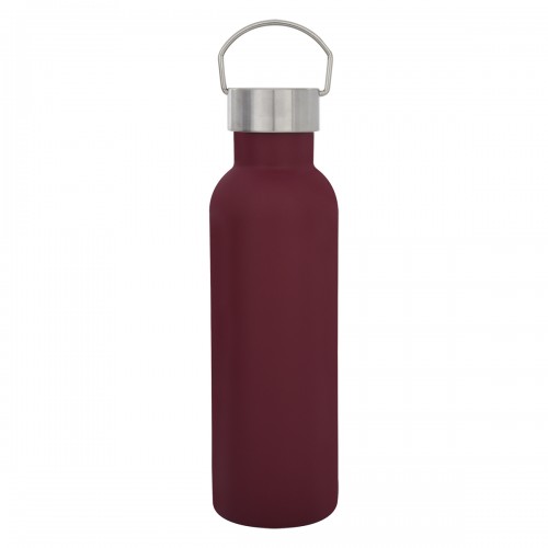 28oz Tipton Stainless Steel Bottle