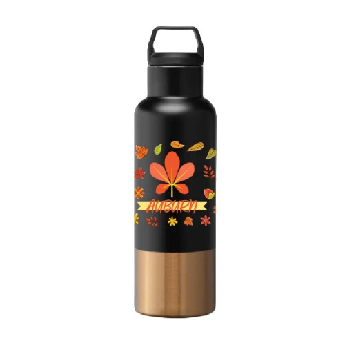 Aurelia 22.5oz Recycled Stainless Steel Copper Accent Double-Wall Bottle Aurelia 22.5oz Recycled Stainless Steel Copper Accent Double-Wall Bottle