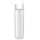 Garyline® 16oz Chiller Insulated Bottle with Flip-Straw Lid and Full-Color Insert