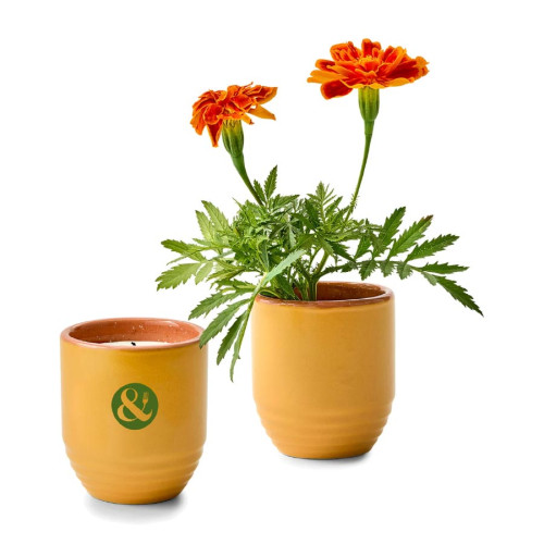 Modern Sprout® Garden Vibes Candle & Planter