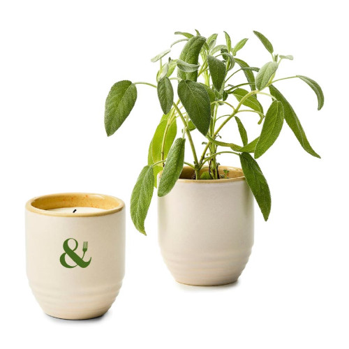 Modern Sprout® Garden Vibes Candle & Planter