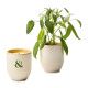 Modern Sprout® Garden Vibes Candle & Planter