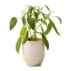 Modern Sprout® Garden Vibes Candle & Planter