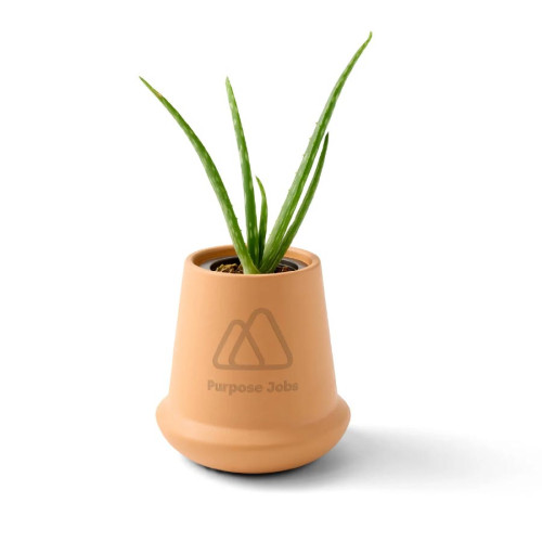 Modern Sprout® Modern Terracotta Aloe Grow Kit