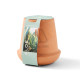 Modern Sprout® Modern Terracotta Aloe Grow Kit