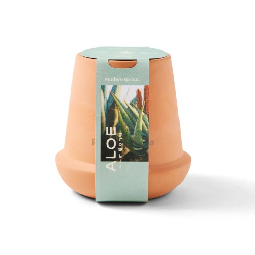 Modern Sprout® Modern Terracotta Aloe Grow Kit