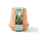 Modern Sprout® Modern Terracotta Aloe Grow Kit
