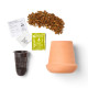 Modern Sprout® Modern Terracotta Aloe Grow Kit