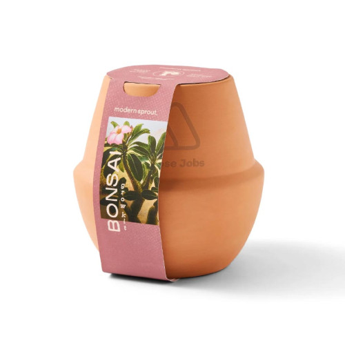 Modern Sprout® Modern Terracotta Bonsai Grow Kit