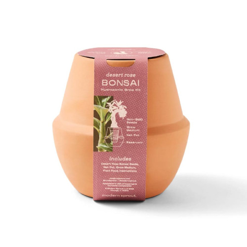 Modern Sprout® Modern Terracotta Bonsai Grow Kit