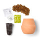 Modern Sprout® Modern Terracotta Bonsai Grow Kit
