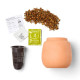 Modern Sprout® Modern Terracotta Cactus Grow Kit