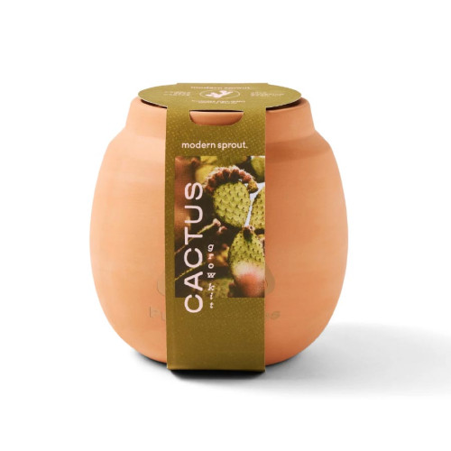 Modern Sprout® Modern Terracotta Cactus Grow Kit