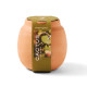 Modern Sprout® Modern Terracotta Cactus Grow Kit