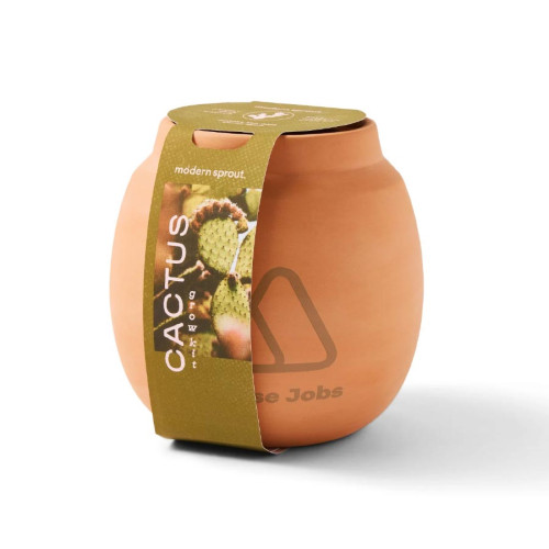 Modern Sprout® Modern Terracotta Cactus Grow Kit
