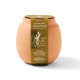 Modern Sprout® Modern Terracotta Cactus Grow Kit