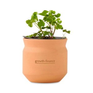 Modern Sprout® Tiny Terracotta Clover Plant