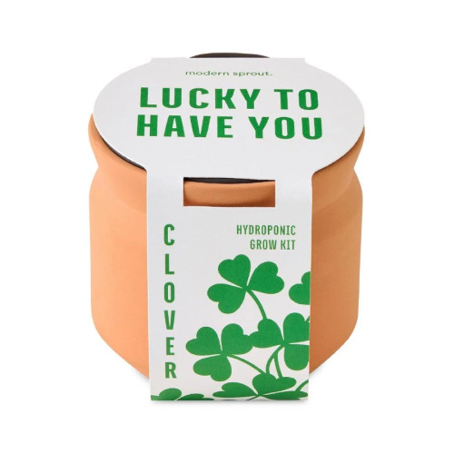 Modern Sprout® Tiny Terracotta Clover Plant