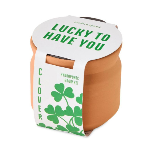 Modern Sprout® Tiny Terracotta Clover Plant