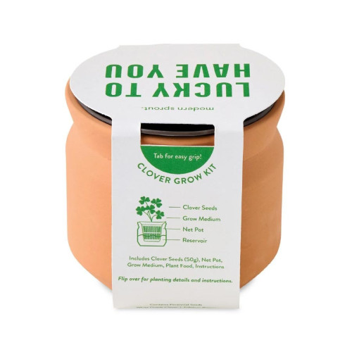Modern Sprout® Tiny Terracotta Clover Plant