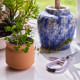 Modern Sprout® Tiny Terracotta Clover Plant