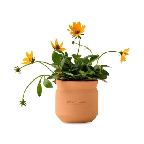 Modern Sprout® Tiny Terracotta Wildflower Plant