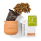 Modern Sprout® Tiny Terracotta Wildflower Plant