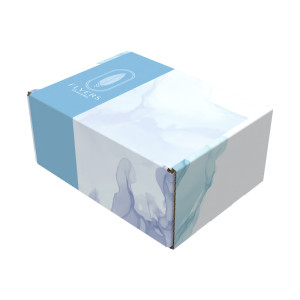 7" x 5" x 3" Custom Printed Mailer Box – Full Color Logo Shipping Box