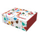 12" x 10" x 4" Custom Printed Mailer Box – Full Color Logo Shipping Box