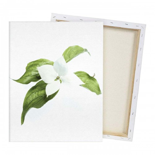 20" x 30" Custom Canvas Print 20" x 30" Custom Canvas Print