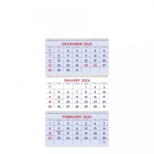 Triumph® Calendars 2026 Red & Blue Commercial Planner