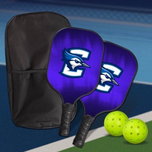 Fiberglass Pickleball Paddle Set