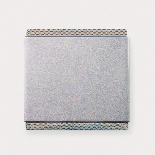 Auden Aluminum Wireless Speaker