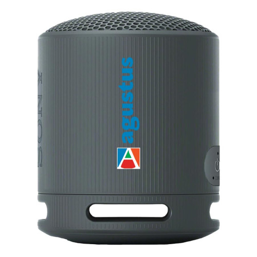 Sony SRS-XB100 Bluetooth Speaker Sony SRS-XB100 Bluetooth Speaker