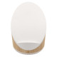 iBlu Phonic 15W Wireless Charger & Bluetooth Speaker